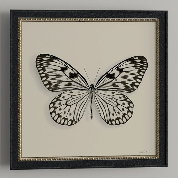 Gracie Oaks Other - NIB Framed Butterfly Graphic Art Print